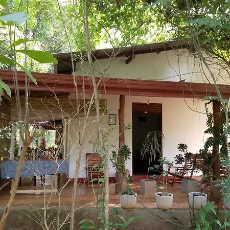 Thilina Homestay 시기리야 객실 사진